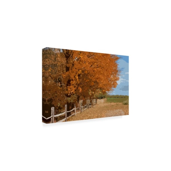 Monte Nagler 'Fall Color Foliage' Canvas Art,30x47